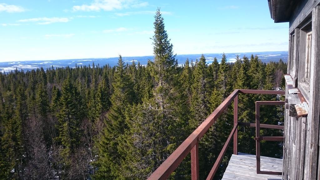 Zorbcenter Holiday Homes Hammarstrand Екстер'єр фото